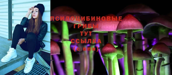 метадон Верея